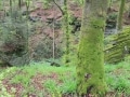 IMG_0050