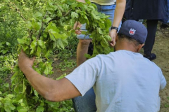 20250501_074544000_iOS