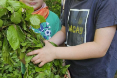 20250501_074849000_iOS