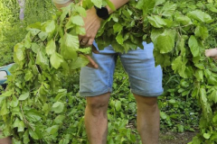 20250501_074850000_iOS-1