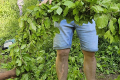 20250501_074850000_iOS-2