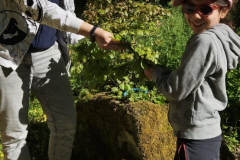 20250501_080012000_iOS