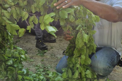 20250501_080013000_iOS-1