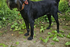 20250501_080015000_iOS-1