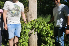 20250501_080015000_iOS