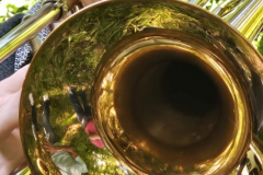 20250501_081046000_iOS-1