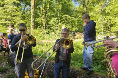 20250501_081047000_iOS