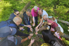 20250501_084559000_iOS