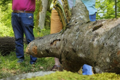 20250501_085520000_iOS