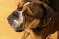 QuizNight_20221022_-32