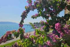 Voyage-Gargnano-Sep-2023-39-of-263